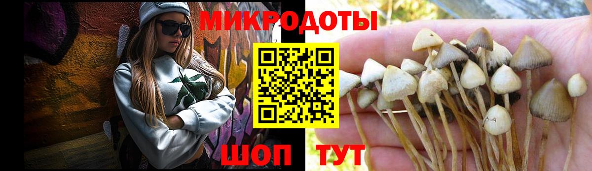 Галлюциногенные грибы мицелий  Вход с VPN  Ульяновск 